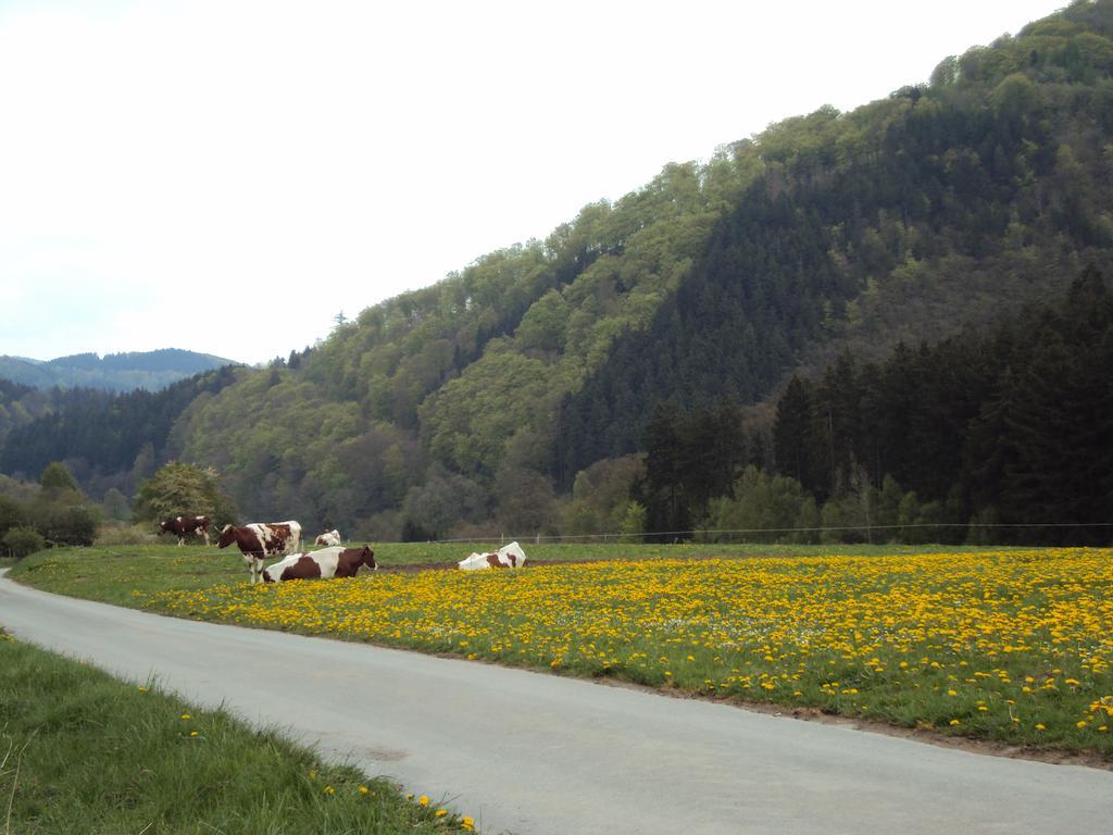 Gasthof Zum Diemeltal Marsberg Eksteriør billede