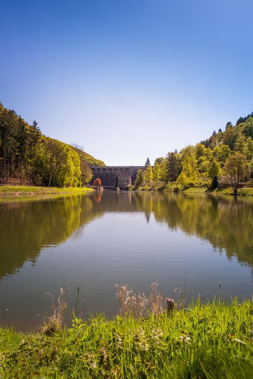 Gasthof Zum Diemeltal Marsberg Eksteriør billede