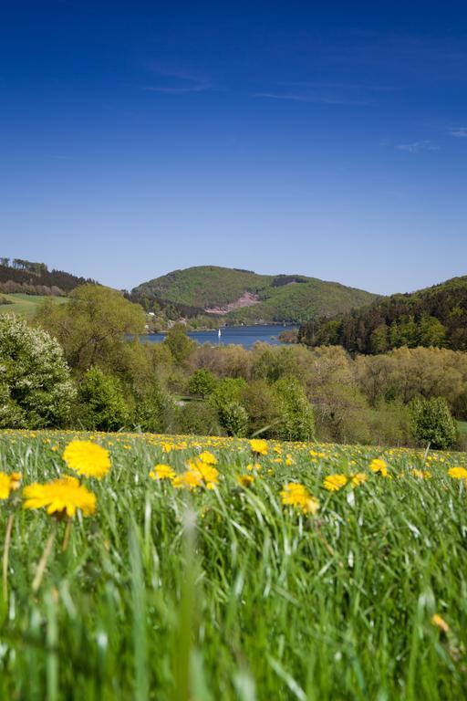 Gasthof Zum Diemeltal Marsberg Eksteriør billede